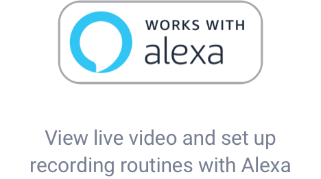 wireless camera compatible with Alexa